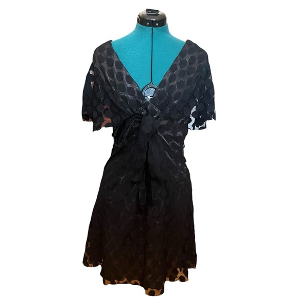 Anna Sui Mesh Short Sleeve V Neck Waist Tie Mini Dress - Picture 1 of 3